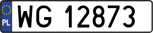 WG12873