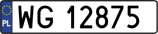 WG12875