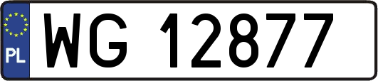 WG12877