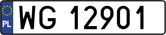 WG12901