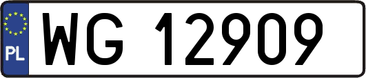 WG12909
