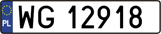 WG12918