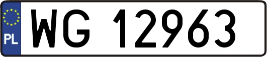WG12963
