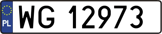 WG12973