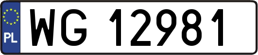 WG12981