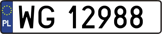 WG12988