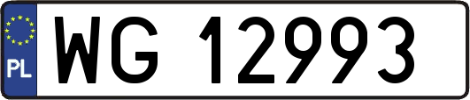 WG12993