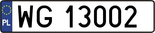 WG13002