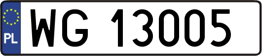 WG13005