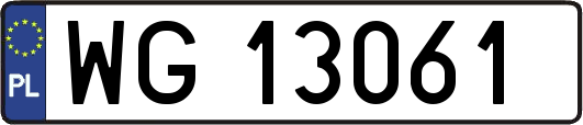 WG13061