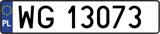 WG13073