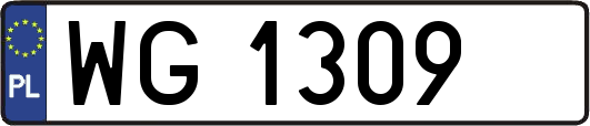 WG1309