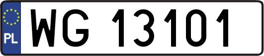 WG13101