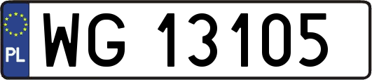 WG13105