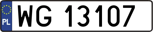 WG13107