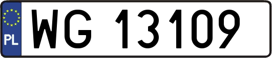 WG13109