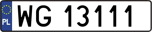 WG13111