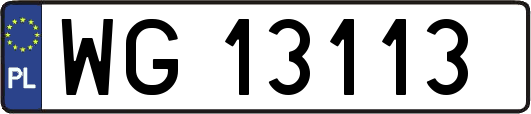 WG13113