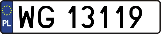 WG13119