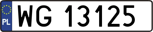 WG13125