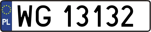 WG13132
