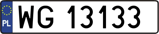 WG13133