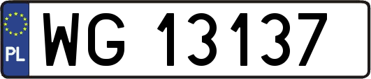 WG13137