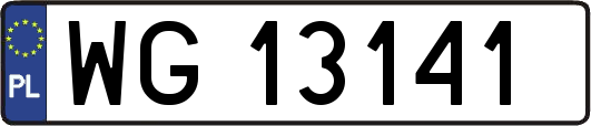 WG13141