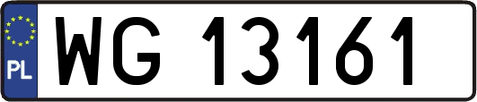WG13161