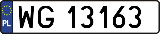 WG13163
