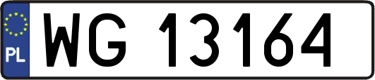 WG13164