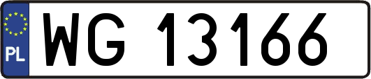 WG13166