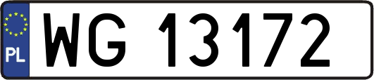 WG13172