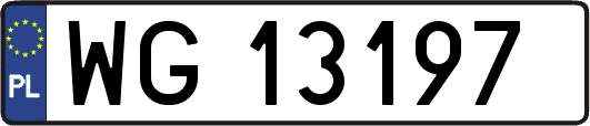 WG13197