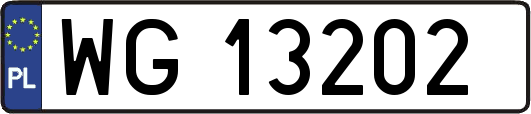 WG13202