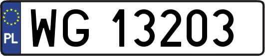 WG13203