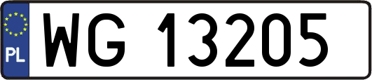 WG13205