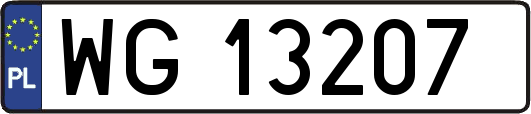 WG13207