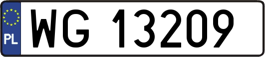 WG13209