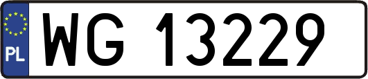 WG13229