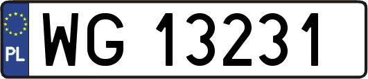 WG13231