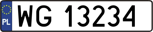 WG13234