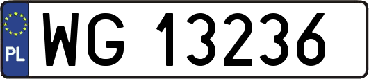 WG13236