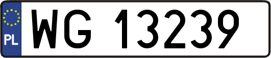 WG13239