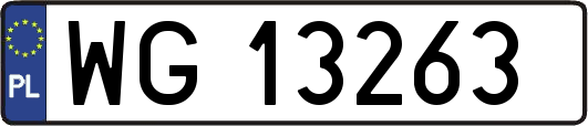 WG13263