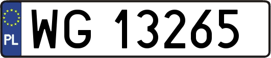 WG13265