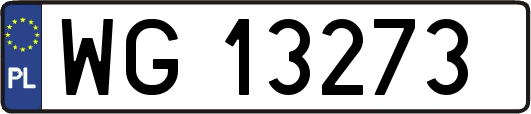 WG13273