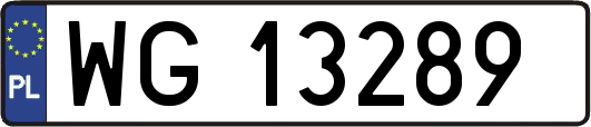 WG13289