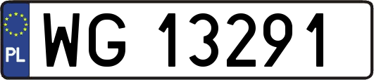 WG13291
