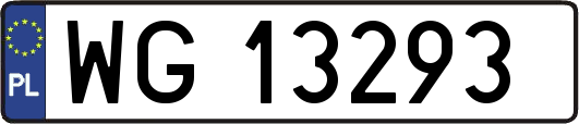 WG13293